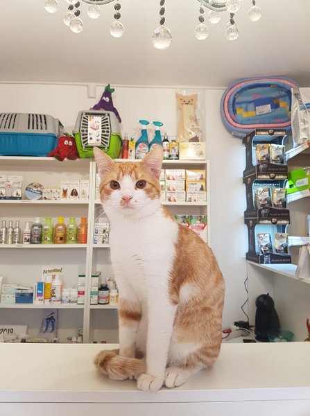 Meili Vet - Cabinet Veterinar