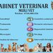 Meili Vet - Cabinet Veterinar